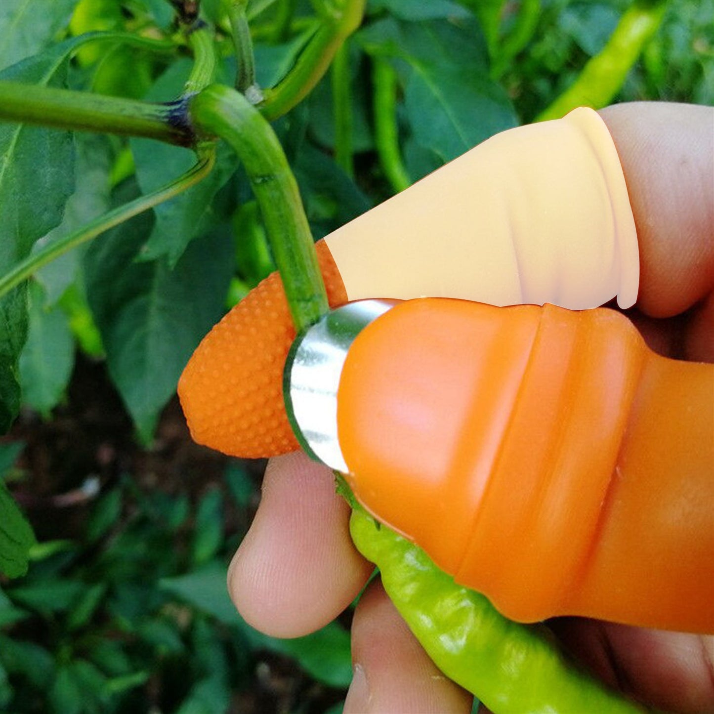 2662v 1 Pair V Thumb Cutter With Box Used In All Kinds Of Household And Official Kitchen Purposes For Peeling And Cutting Of Various Types Of Vegetables And Fruits Etc. Default Title - Anthro Bazaar