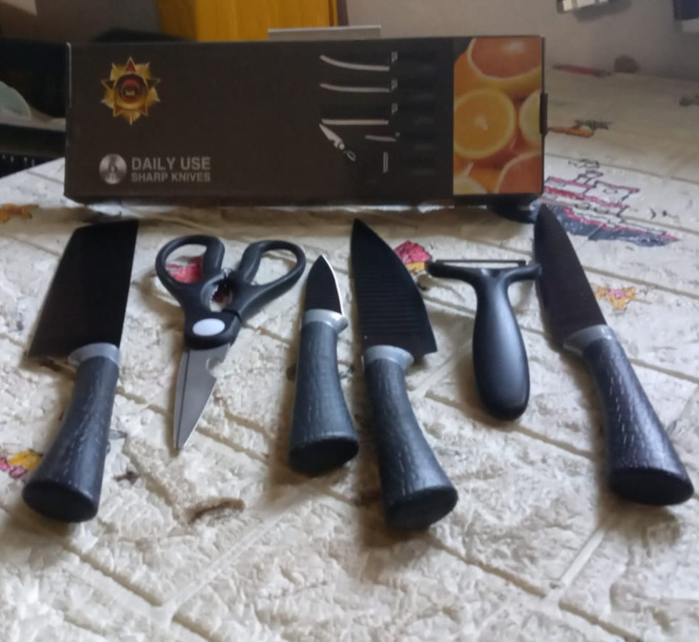 Professional Kitchen Knife Set (Stainless Steel 6 Pcs Set)