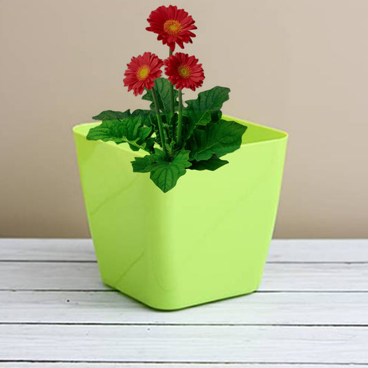 Flower Pot Square Shape [Indoor-outdoor 1 Pcs]