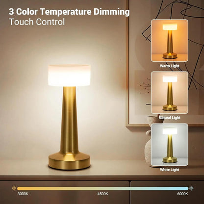 LED Touch Control Table Lamp | 3 Colour & 3 Brightness Dimmable [Gold texture]