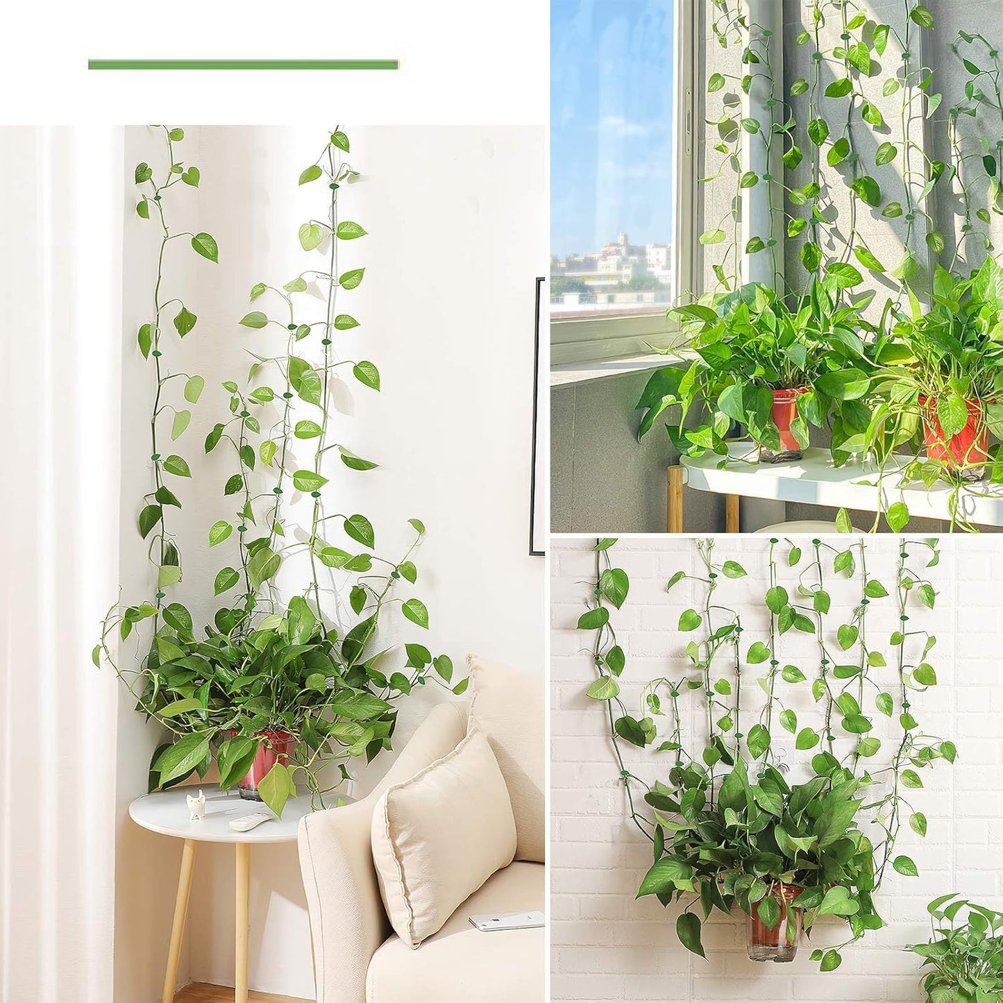 Plant Climbing Wall Fixture Clips (30 Pcs Set)