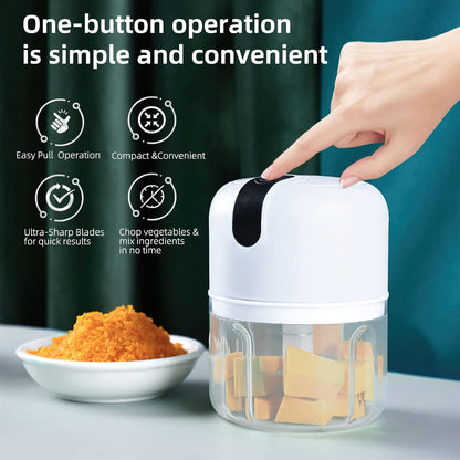 Portable 250ML Food Processor for Garlic, Ginger, Onion, Meat &amp; Vegetables (3-Blade Stainless Steel)
